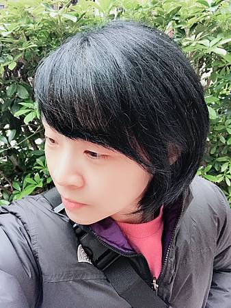 相片 2020-1-29 12 29 34.jpg 試用