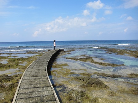 愛向大海