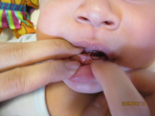 IMG_0684.JPG IMG_0684.JPG