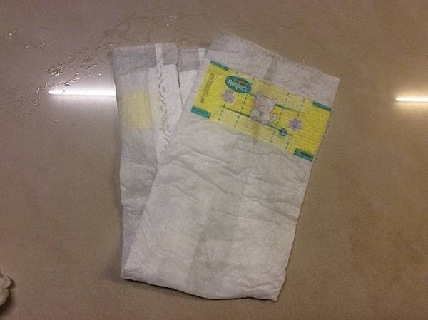 IMG_1998 IMG_1998