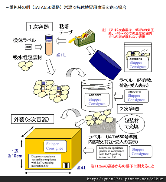 螢幕擷取畫面 (11).png