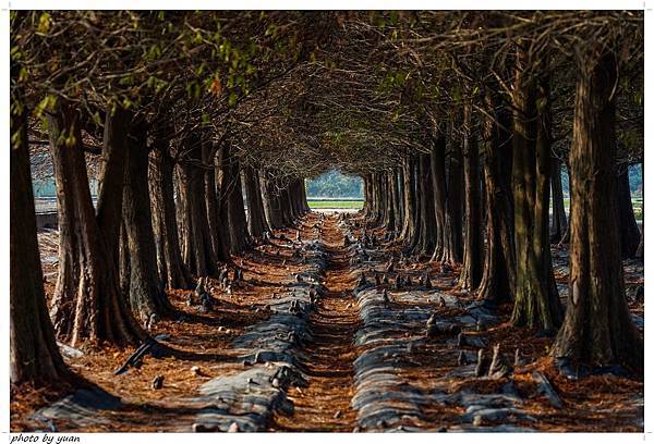 20210226-DSC05456.jpg 20210226-DSC05456.jpg