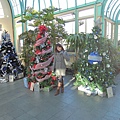 DSCN6295_10000.JPG