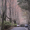 二月石門風景