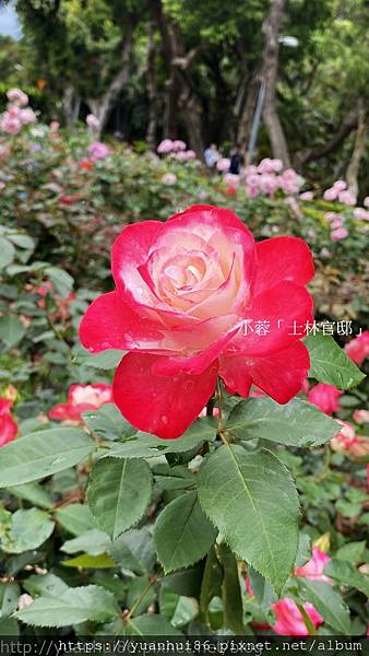 nEO_IMG_IMG_E8912.jpg nEO_IMG_IMG_E8912.jpg