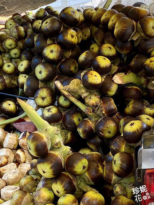 5月盛產棕櫚果 Palm Fruit 來做個棕櫚果甜湯 ล กตาลลอยแก ว 吧 冰冰涼涼好喝 珍妮花 泰國 痞客邦 5月盛產棕櫚果 Palm Fruit 來做個棕櫚果甜湯 ล กตาลลอยแก ว 吧 冰冰涼涼好喝 珍妮花 泰國 痞客邦
