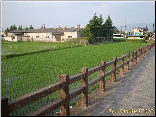 奈良-唐提招寺028.JPG