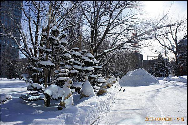 D6-道廳雪祭007.JPG