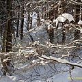 山寺 (95).JPG