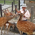 奈良-東大寺026.JPG