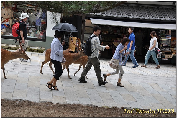 奈良-東大寺020.JPG