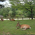 奈良-東大寺052.JPG