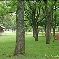 奈良-東大寺016.JPG