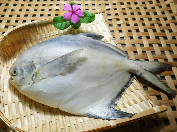 白鯧魚