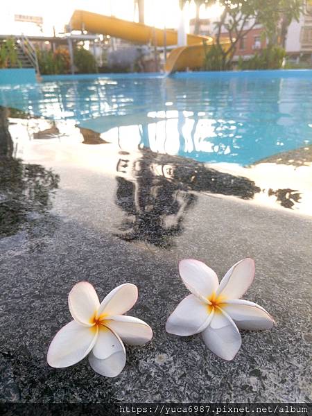 IMG_20200712_011655_985.jpg IMG_20200712_011655_985.jpg