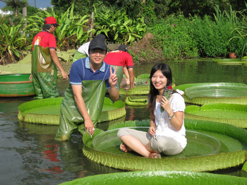 2010桃園蓮花季【風車搖曳蓮花鄉乘坐大王蓮活動】2 588x366