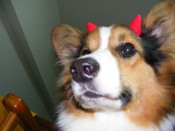 2007_12240021.JPG 2007_12240021.JPG