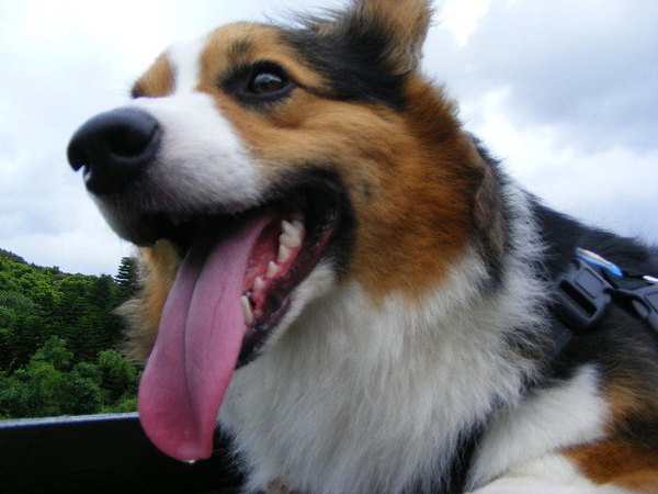 2008_07270118.JPG 2008_07270118.JPG