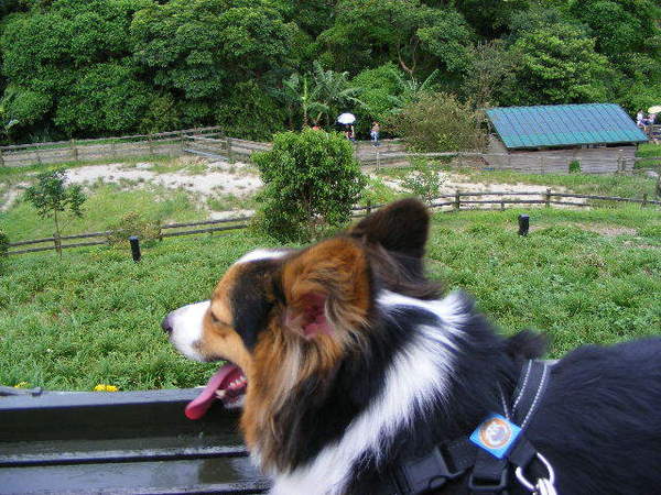 2008_07270119.JPG 2008_07270119.JPG