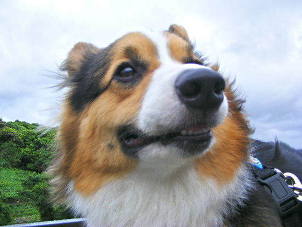2008_07270121.JPG 2008_07270121.JPG