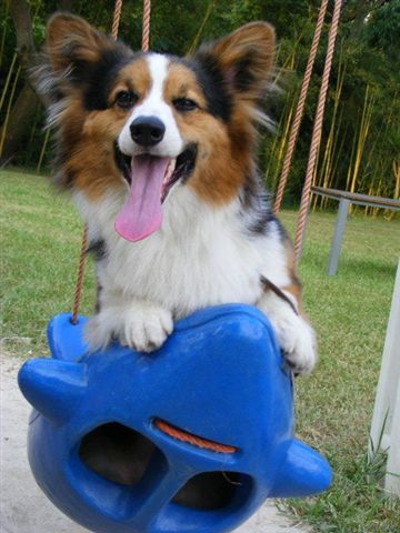 2008_08140033.JPG 2008_08140033.JPG