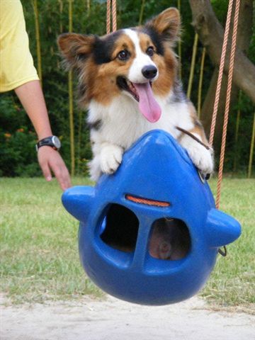 2008_08140038.JPG 2008_08140038.JPG