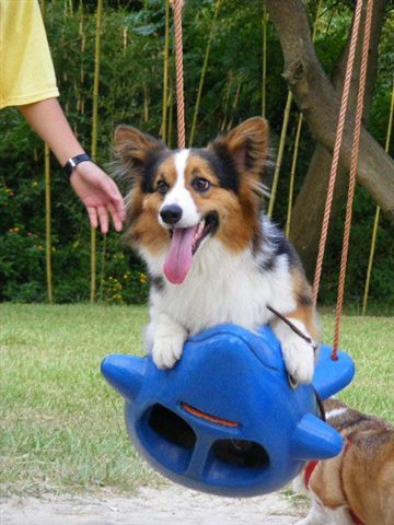 2008_08140039.JPG 2008_08140039.JPG