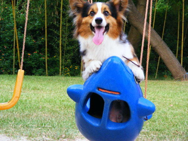 2008_08140056.JPG 2008_08140056.JPG