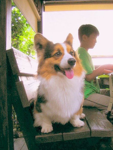 2008_08210100-1.JPG 2008_08210100-1.JPG