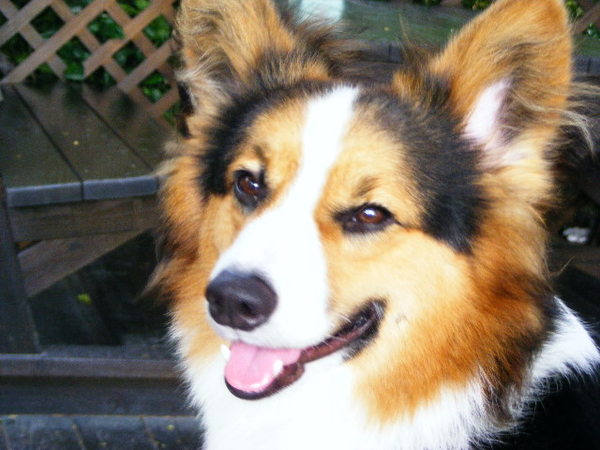 2008_08210110.JPG 2008_08210110.JPG