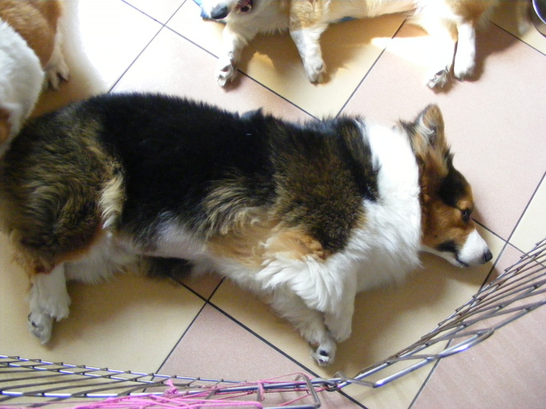 照片 099.jpg 照片 099.jpg