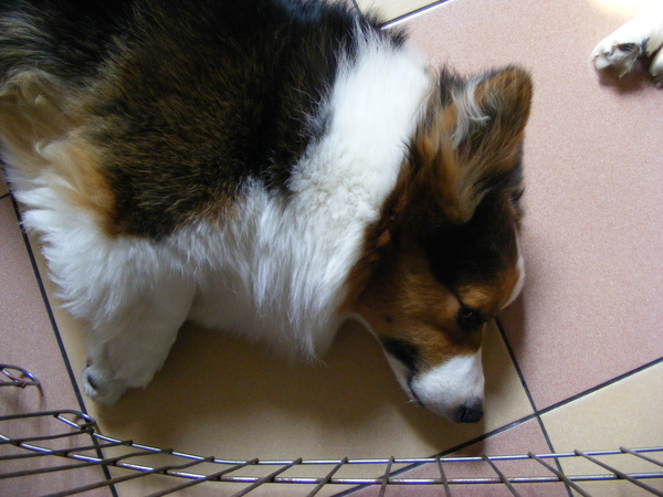 照片 105.jpg 照片 105.jpg