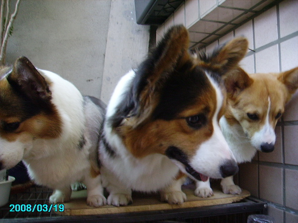 照片 068.jpg 照片 068.jpg