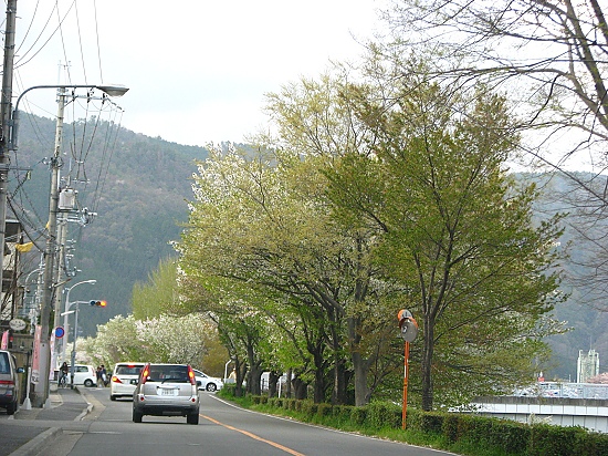 回家路上的賀茂川旁 