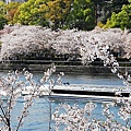 對面是南天滿公園