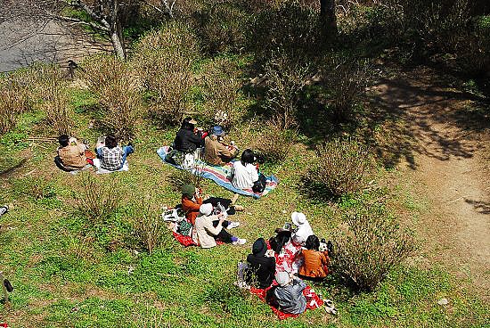 在公園內野餐的人們~