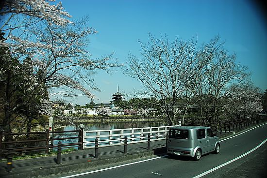 到了奈良市，遠方那是興福寺的五重塔~