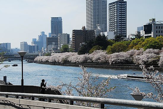 天滿橋的這條大川~是由大川和寢屋川匯合而成~~往下流去就會到中之島...