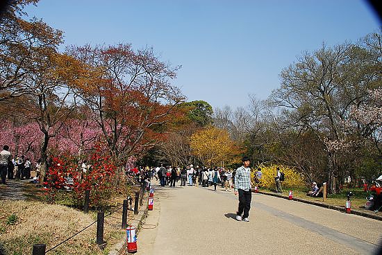 天氣真是好啊