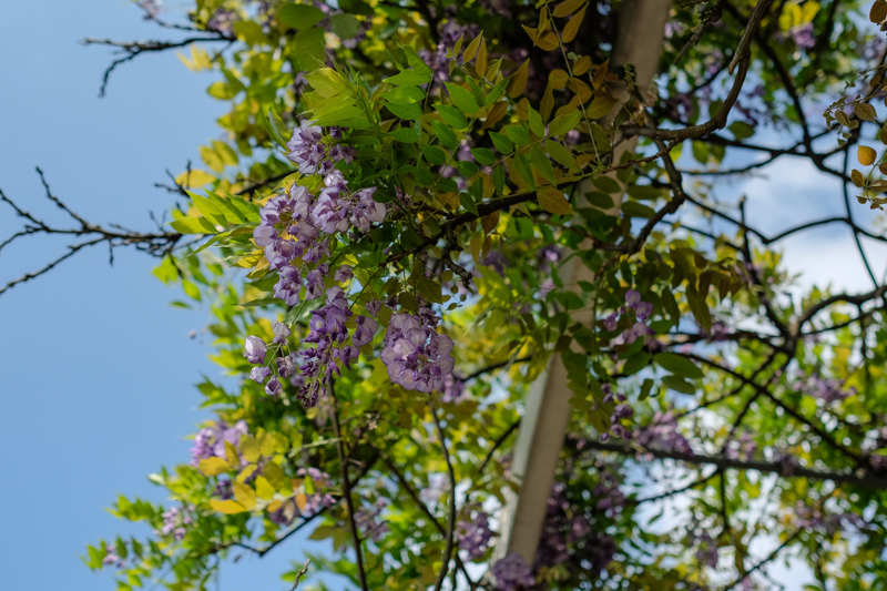 P031 P031