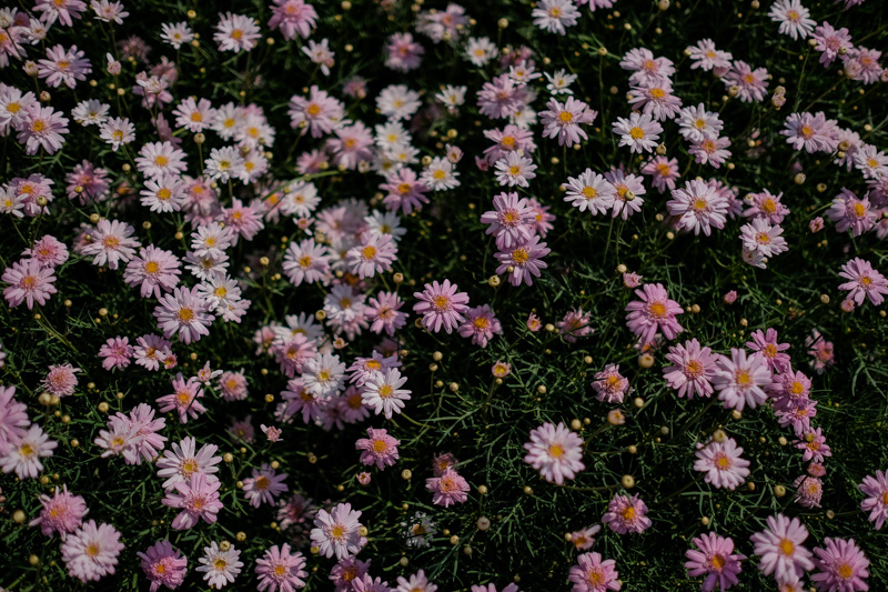 P053 P053