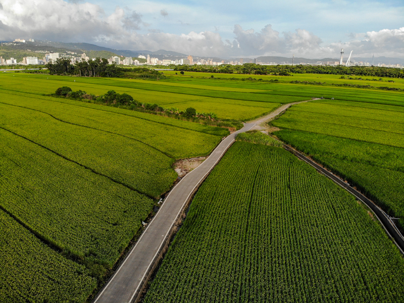 亂拍照 台北北投關渡平原稻田風光 空拍 阿宅亂拍照 痞客邦