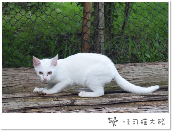 20150905-01.JPG 20150905-01.JPG