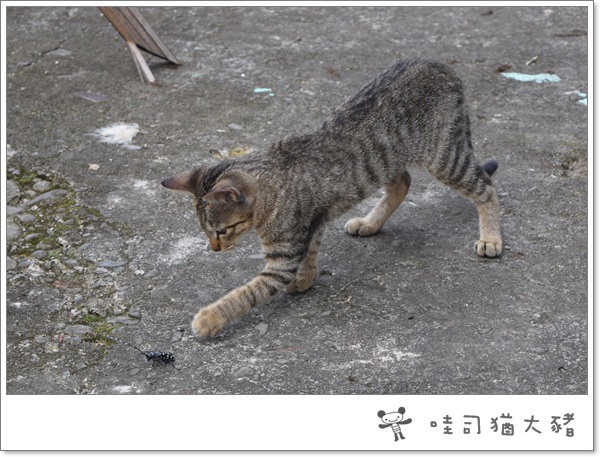 20150905-06.JPG 20150905-06.JPG