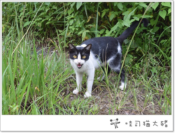 20150905-05.JPG 20150905-05.JPG