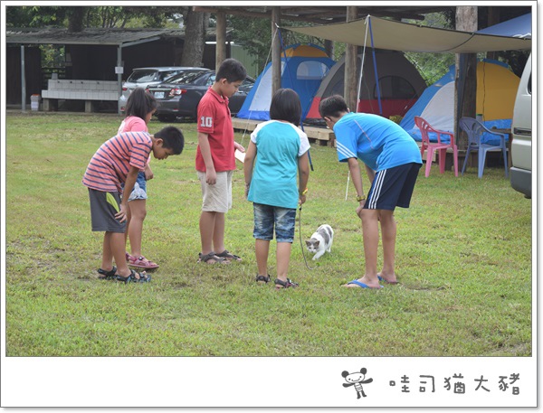 20150905-07.JPG 20150905-07.JPG