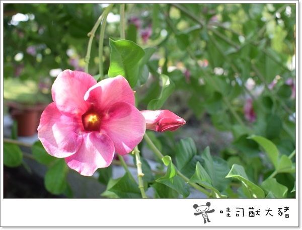 2016_0807_01.JPG 2016_0807_01.JPG