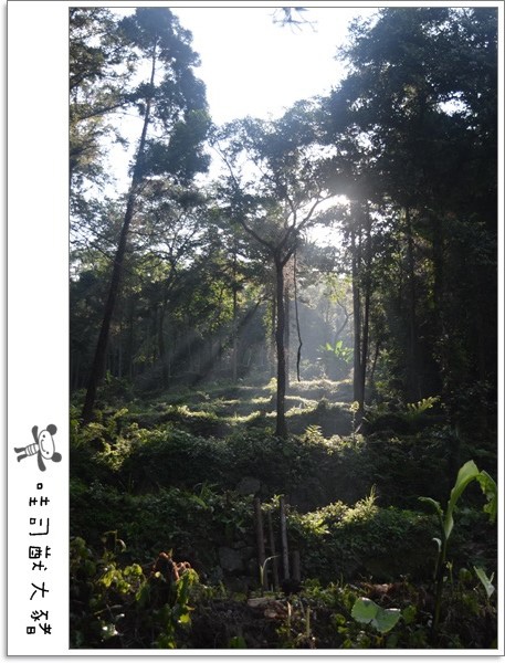 BLOG_014.JPG BLOG_014.JPG