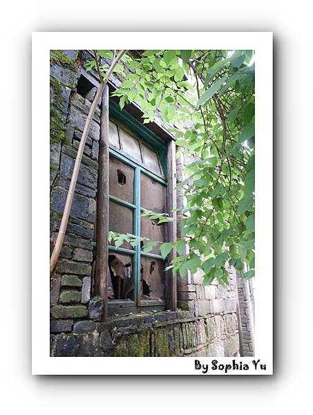 batch_P1070150.JPG batch_P1070150.JPG