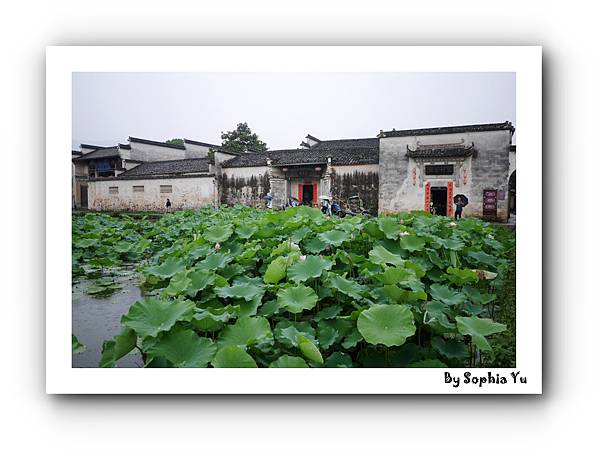 batch_P1070253.JPG batch_P1070253.JPG